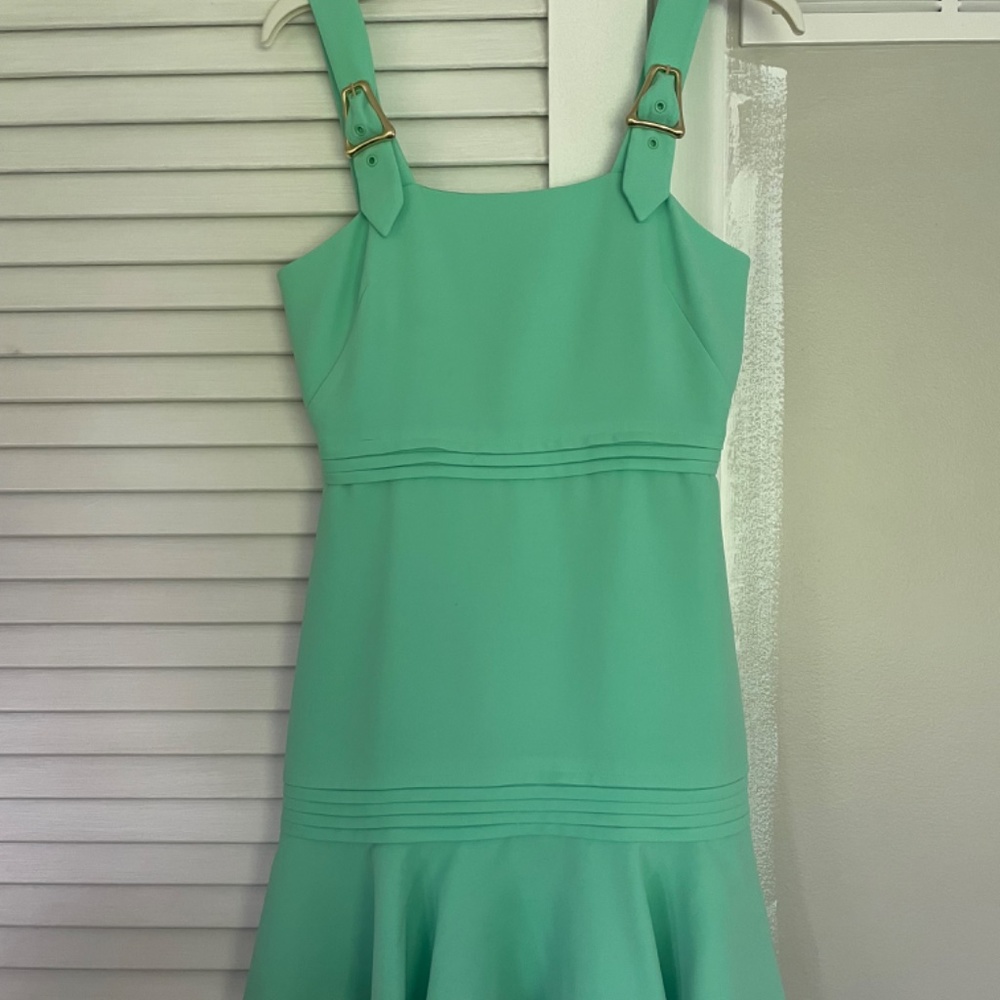 Jonathan Simkhai Green Ruffle Dress - Picture 3 of 5